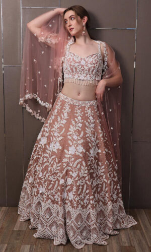 Hand Embroidered Net Lehenga in Peach